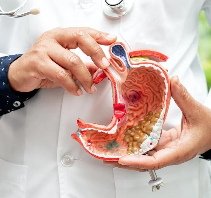 Gastroenterology